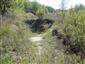 jašterica živorodá (25.6.2014)